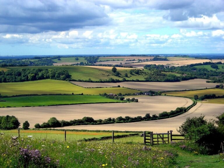 Walk on the South Downs from Old Winchester Hill Geograph Mark Percy 768x576