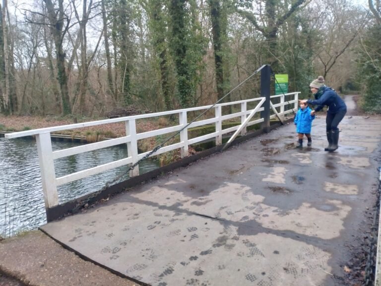 Walk the Basingstoke Canal at Winchfield Green 1 768x576