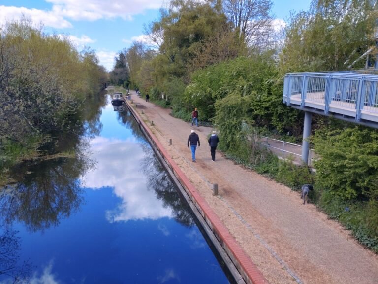 Walk the Basingstoke Canal from Woking 1 768x576