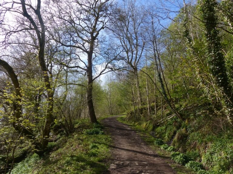 Walk the Conwy Valley from Parc Mawr Geograph Chris Gunns 768x576
