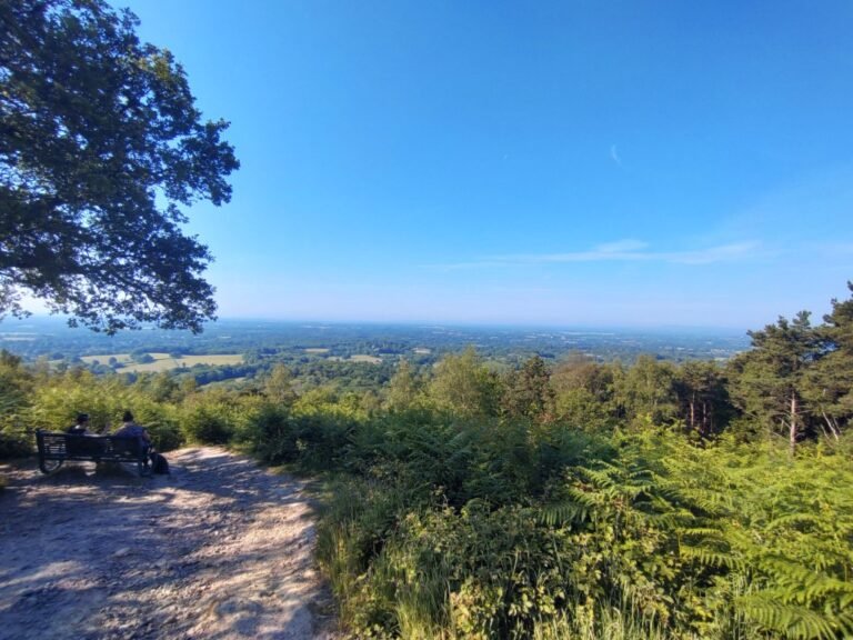 Walk the Hurt Wood from Pitch Hill 1 768x576