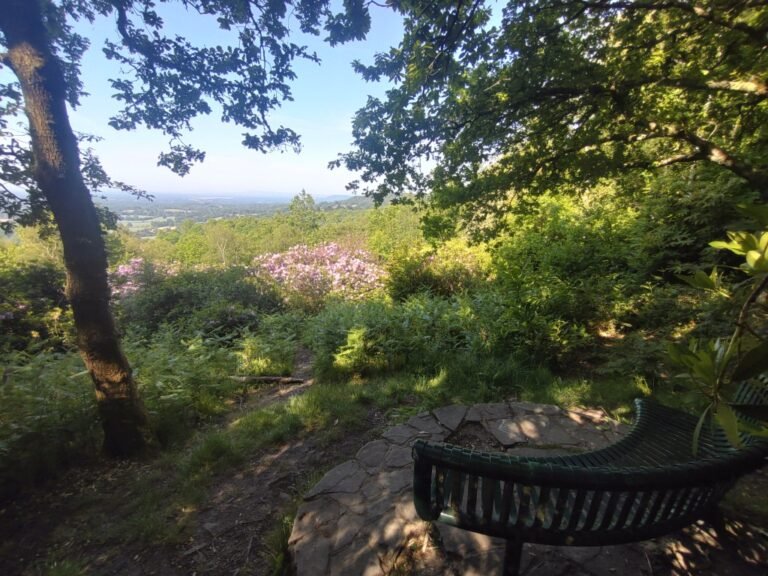 Walk the Hurtwood from Holmbury Hill 1 768x576