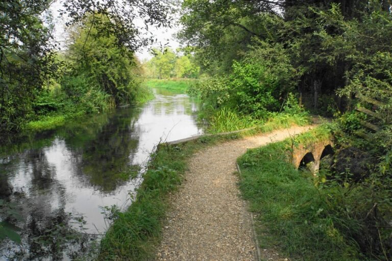 Walk the Itchen Way from Southampton Geograph Bill Boaden 768x512