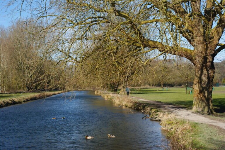 Walk the Itchen Way from Winchester Geograph Peter Trimming 768x514