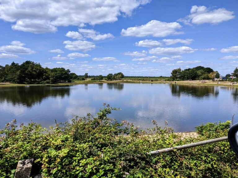 Walk the New Forest from Beaulieu Flickr 768x576