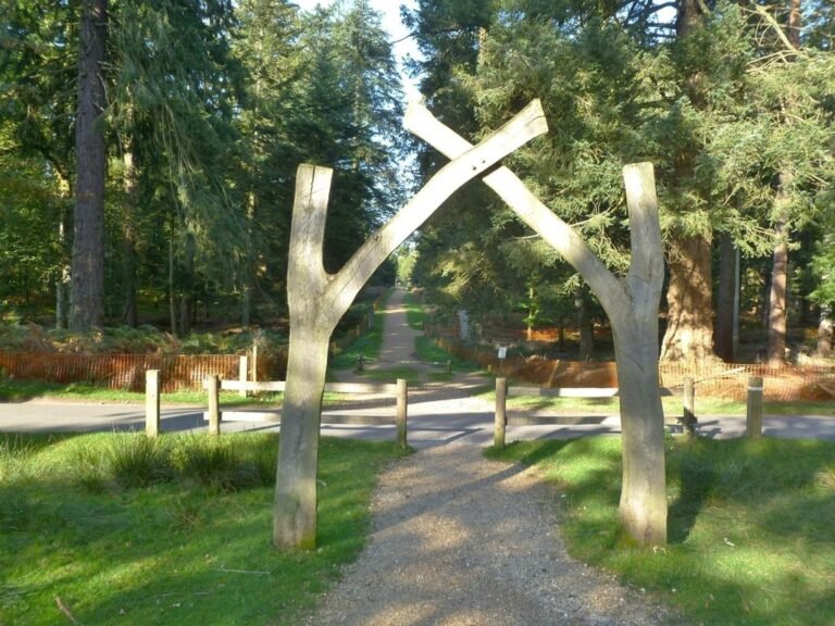 Walk the New Forest from Blackwater Geograph Mike Faherty 768x576