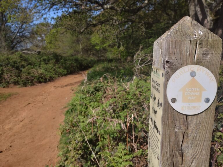 Walk the North Downs and Commons at Puttenham 1 scaled 768x576