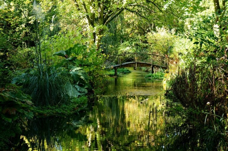 Walk the River Itchen from Itchen Abbas Geograph Peter Trimming 768x511