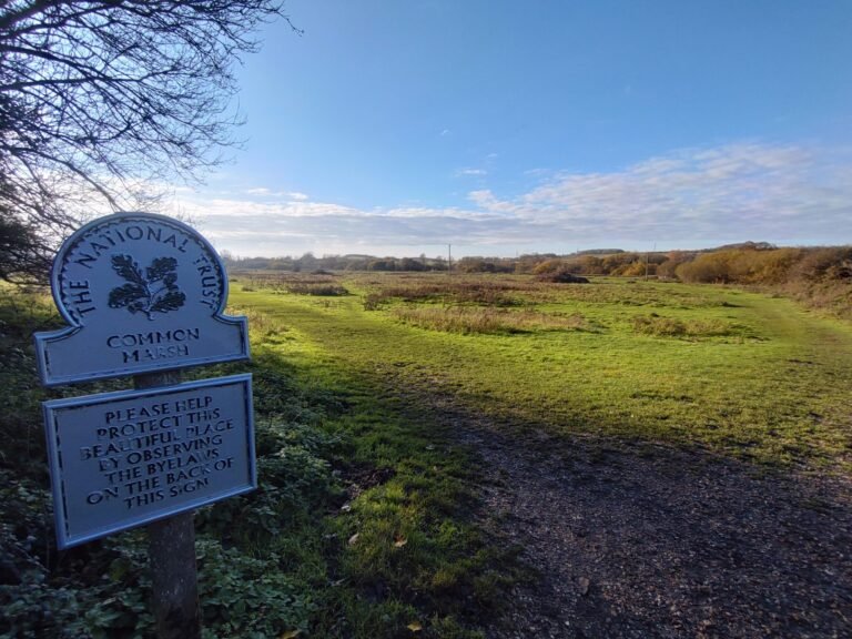 Walk the Test Way and Marshes from Stockbridge 1 scaled 768x576