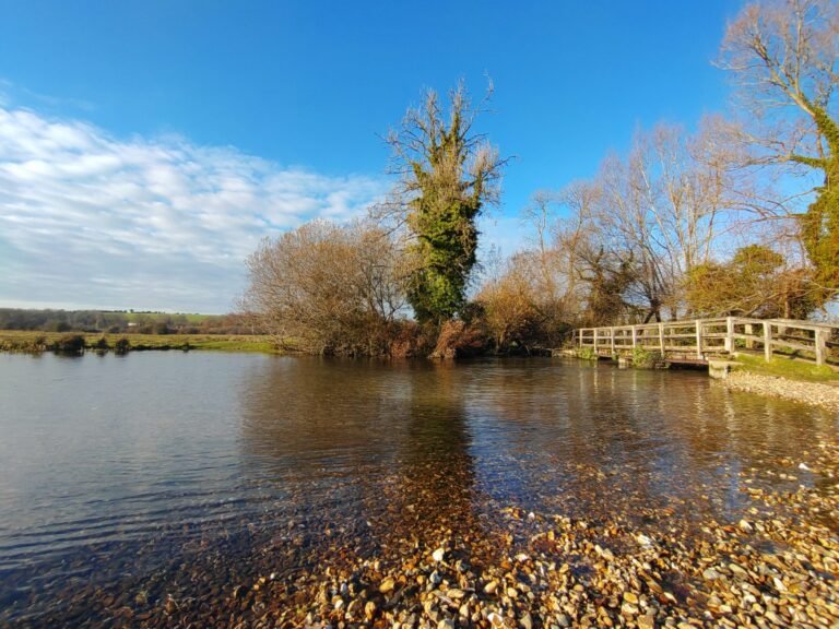 Walk the Test Way and Nature Reserve from Chilbolton 1 scaled 768x576