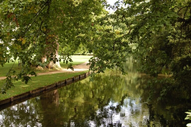 Walk the Test Way from Mottisfont Flickr Matthew 768x511