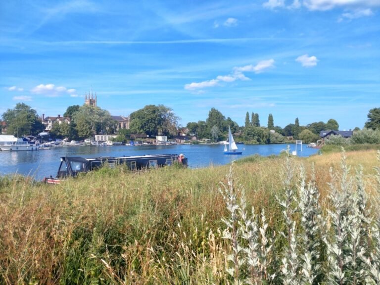 Walk the Thames Path from Hurst Park 1 768x576