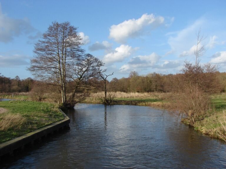 Walk the river and Downs from Guildford Geograph Alan Hunt 768x576