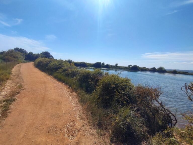 Cycle Haylings Billy Trail 1 768x576