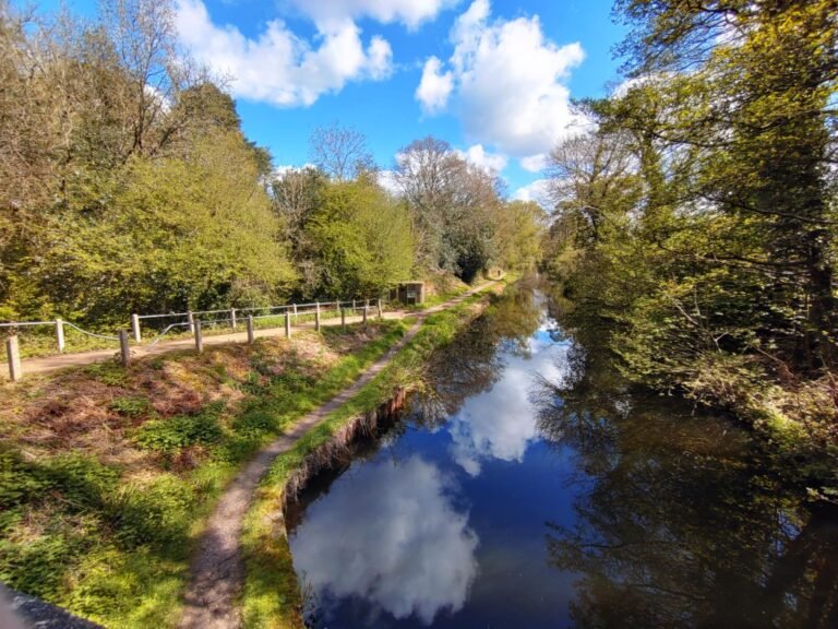 Cycle the Basingstoke Canal from Brookwood 1 768x576