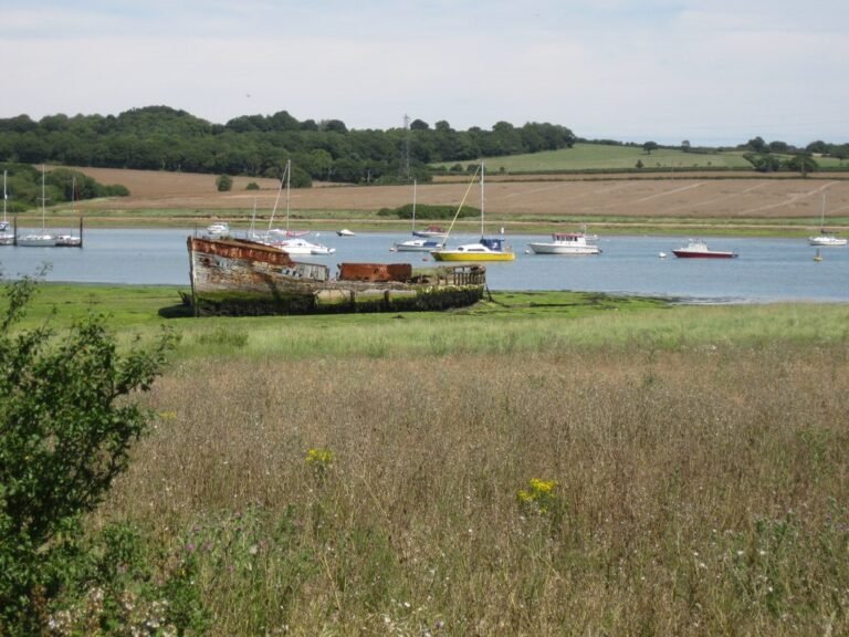 Cycle the Red Squirrel Trail from Newport to Cowes IoW 1 768x576