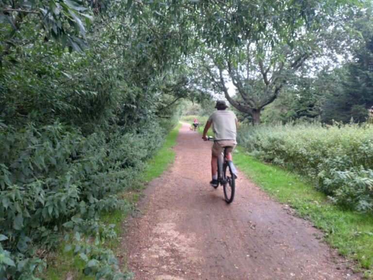 Cycle the Red Squirrel Trail from Newport to Sandown IoW 1 768x576