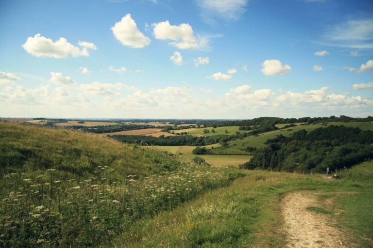 Newlands corner 768x512