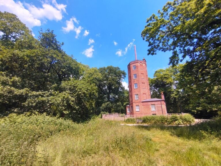 Ockham and Chatley Heath1 768x576