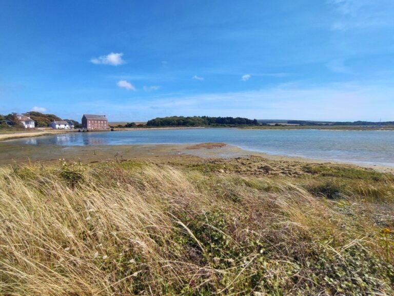 Paddle River Yar from Yarmouth IoW 1 768x576