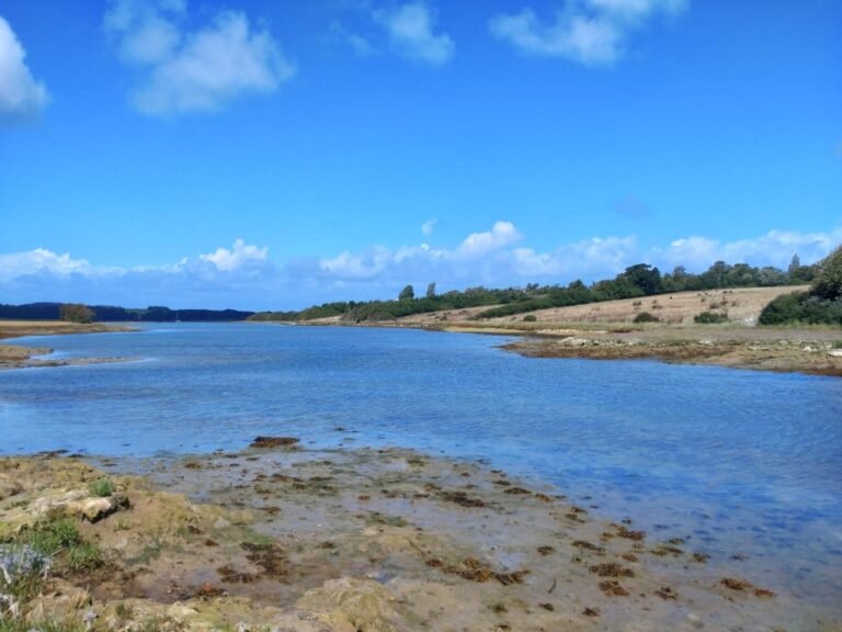 Paddle in Newtown Creek Nature Reserve IoW 1 768x576