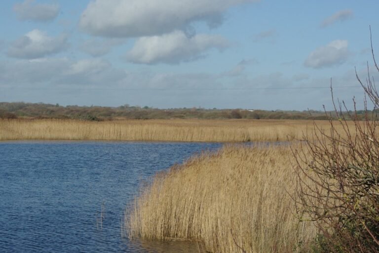 Paddle in the Solent from Keyhaven 1 768x512