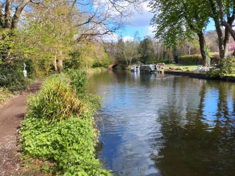 Paddle the Basingstoke Canal from Frimley 1 768x576
