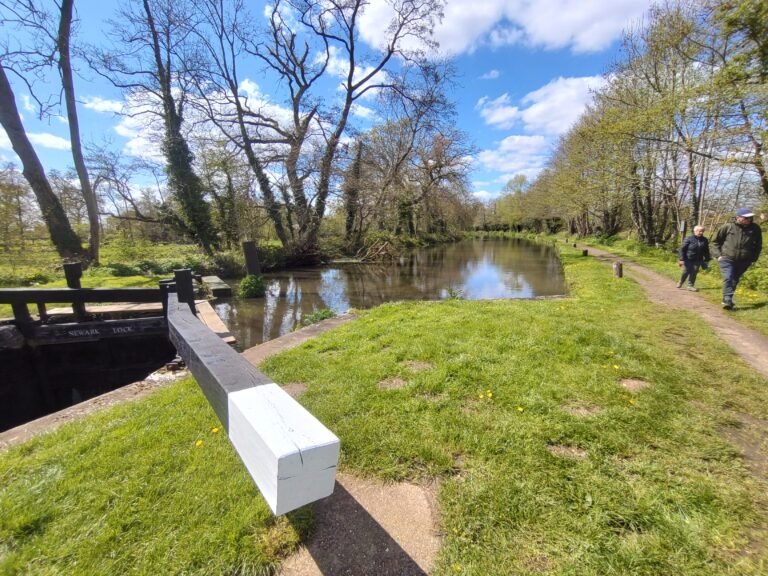 River Wey Ripley 2 768x576