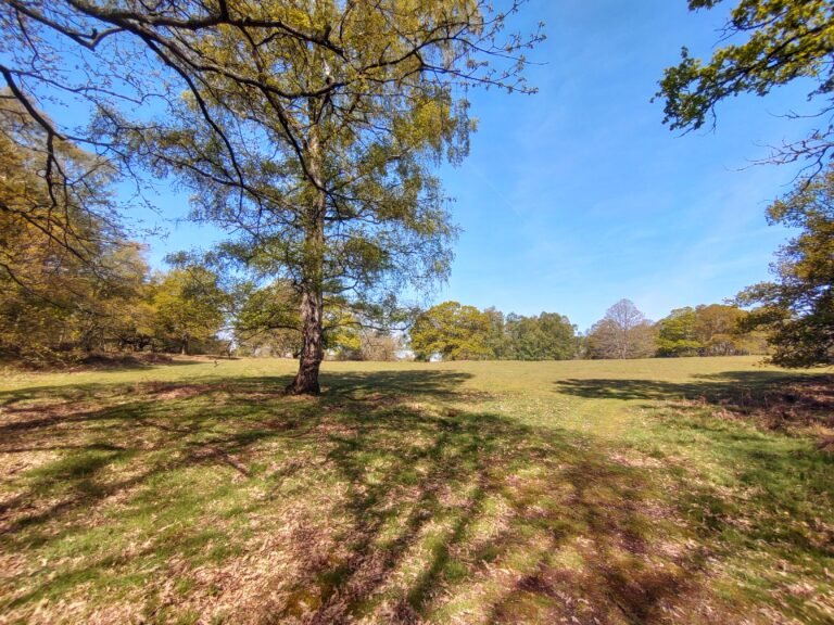 Rodborough Common 768x576