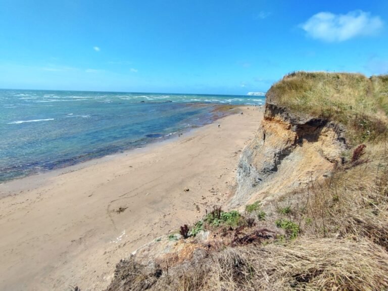 Swim at Brook Chine Beach IoW 1 768x576