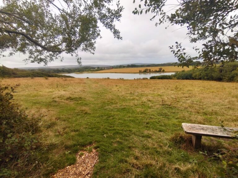 Walk Newtown National Nature Reserve IoW 1 768x576