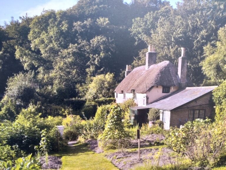 Walk Thorncombe Woods from Hardys Cottage 1 768x576