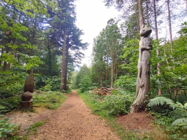 Walk at Parkhurst Forest IoW 1 768x576