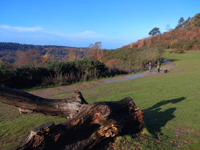 Walk at the Devils Punchbowl at Hindhead 1 768x576