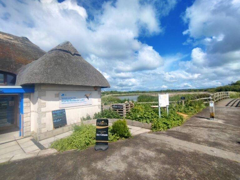 Walk at the RSPBs Radipole Lake 1 768x576