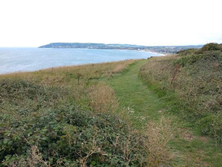 Walk the Coastal Path and Downs at Culver IoW 1 768x576