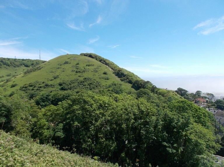 Walk the Coastal Path and Downs from Ventnor IoW Wikimedia 1 768x571