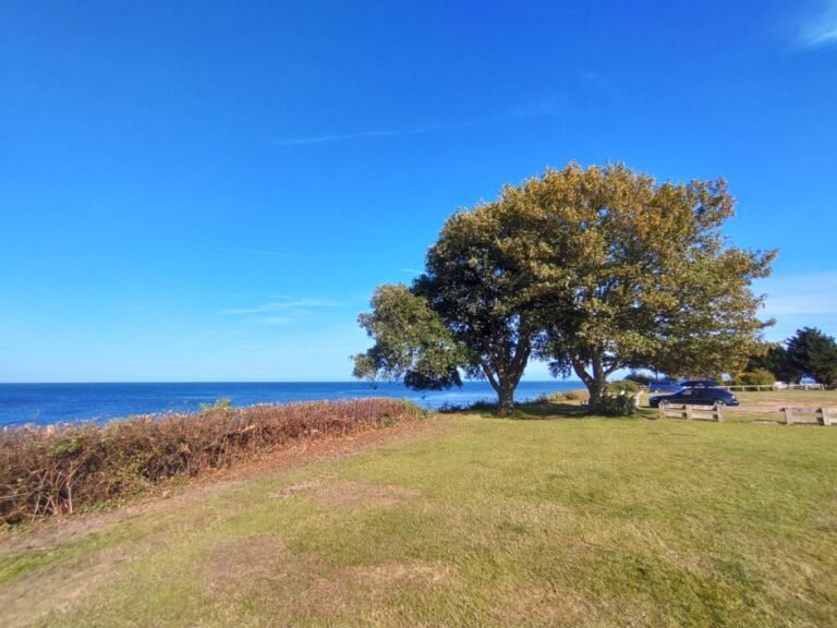 Walk the Coastal Path from Bembridge IoW 1 768x576