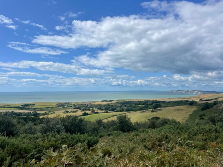 Walk the downs and forest at MottistoneIoW 1 768x576