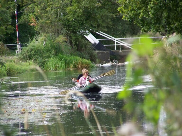 paddle the basingstoke canal from odiham 768x576